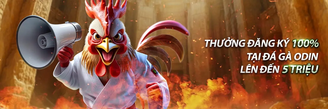 Tin tức mới nhất từ nhà cái VJ99